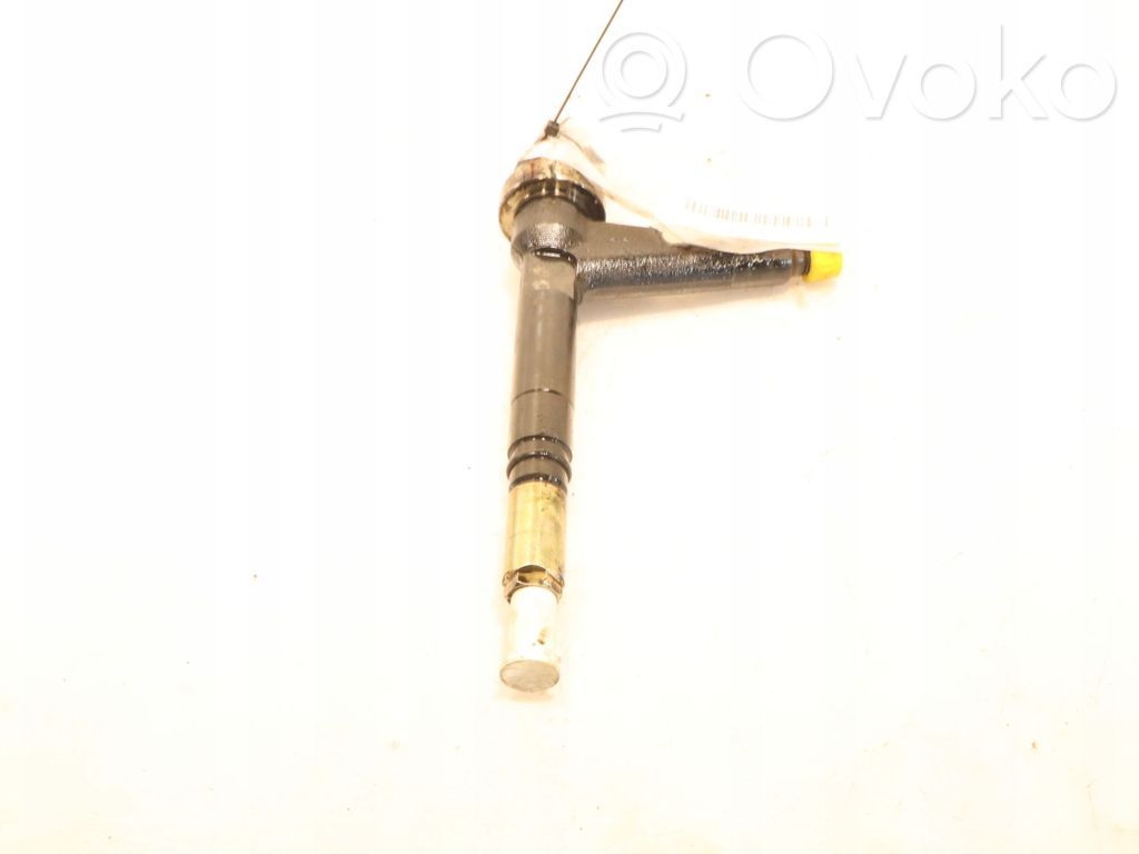 Injector combustibil   8973138612
