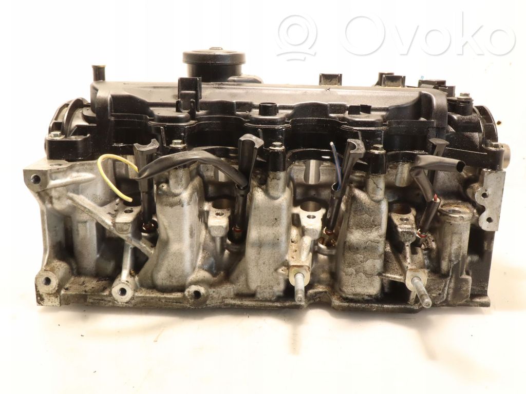Engine head   110421067R
