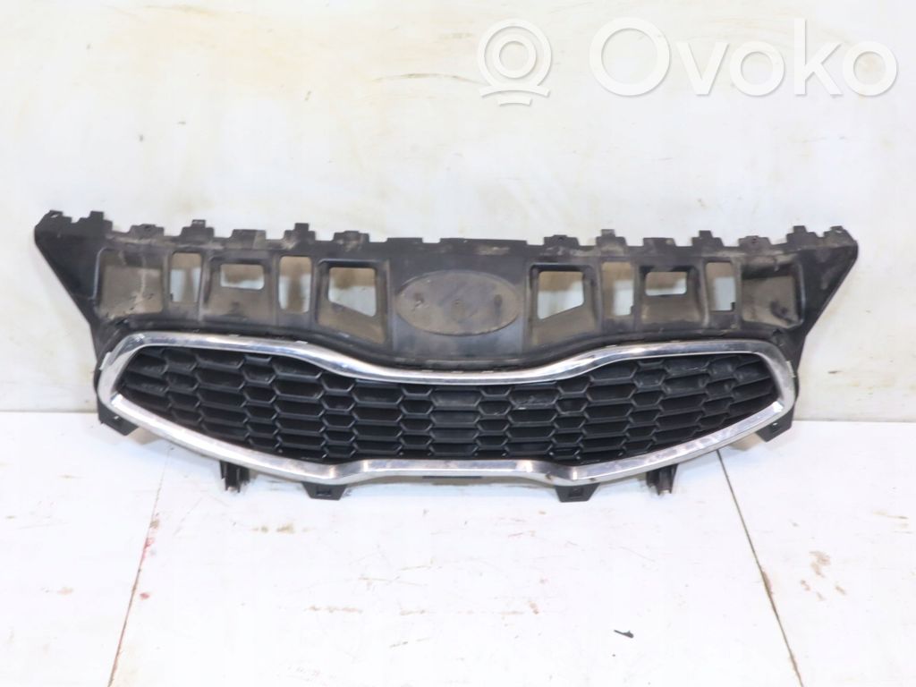 Front grill   83651A2000