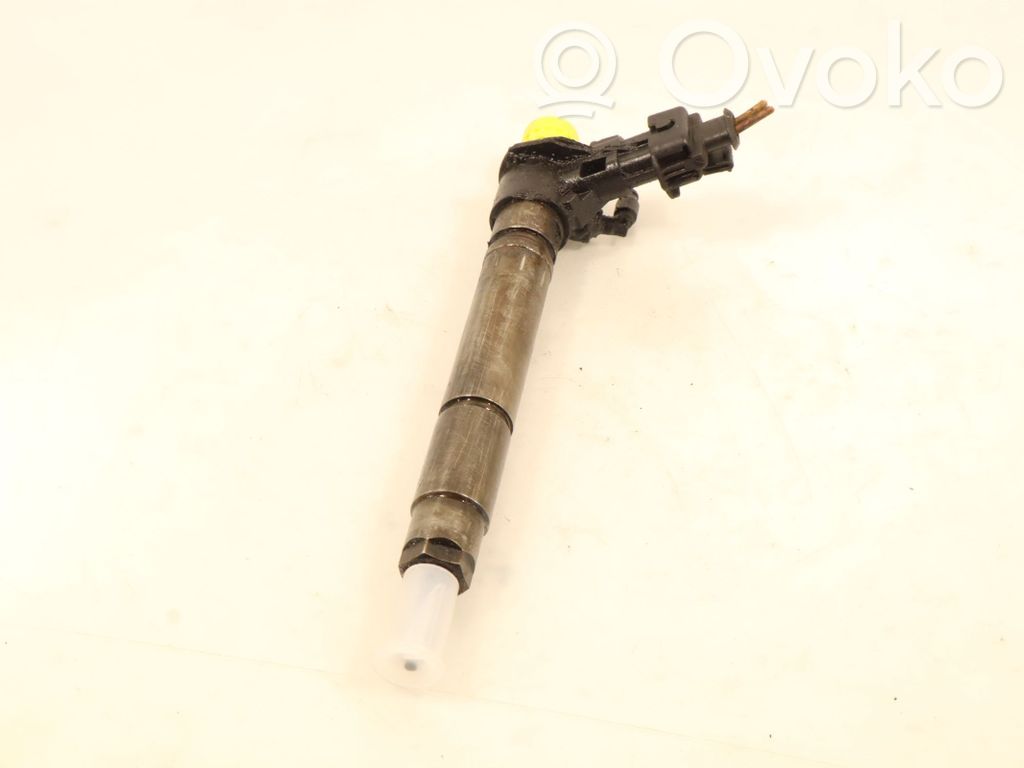 Peugeot 407 Fuel injector 