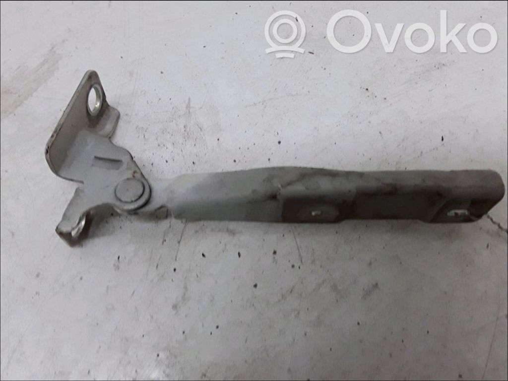 Citroen C3 Engine bonnet/hood hinges 