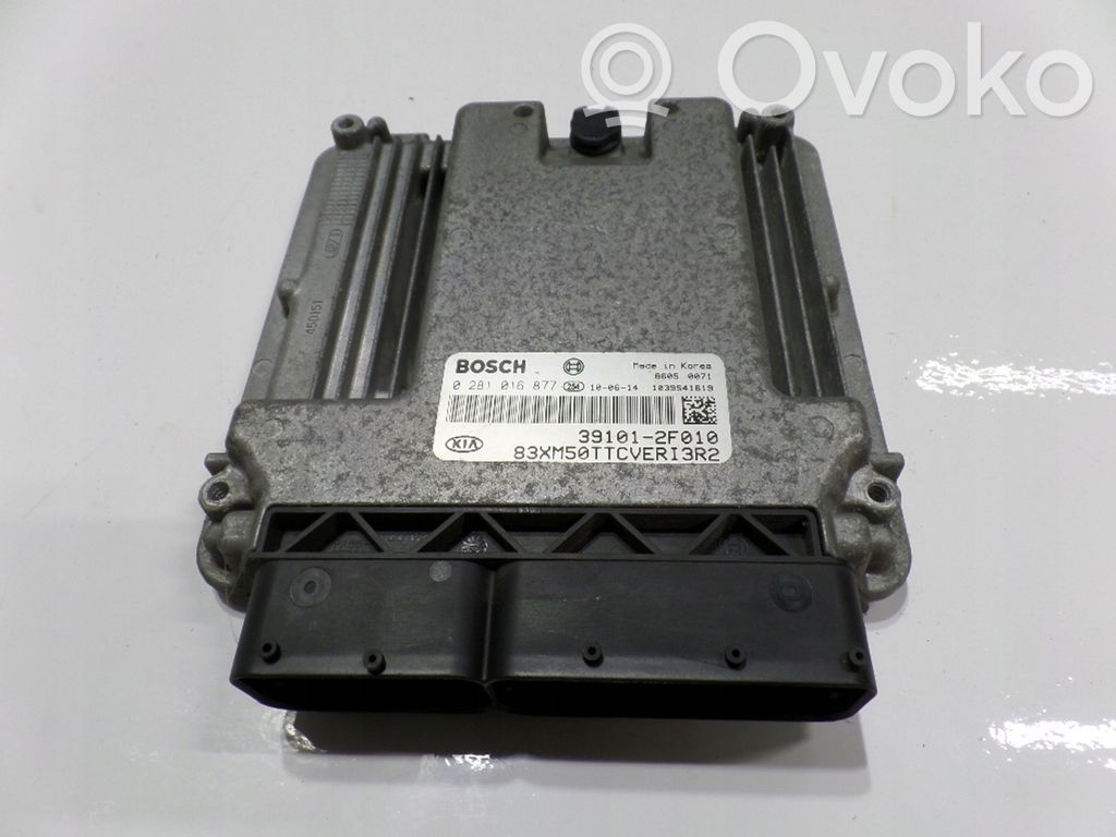 Engine control unit/module   2F010,0281016877,39101
