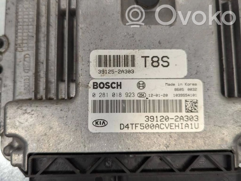 Engine control unit/module   391202A303,391252A303,0281018923