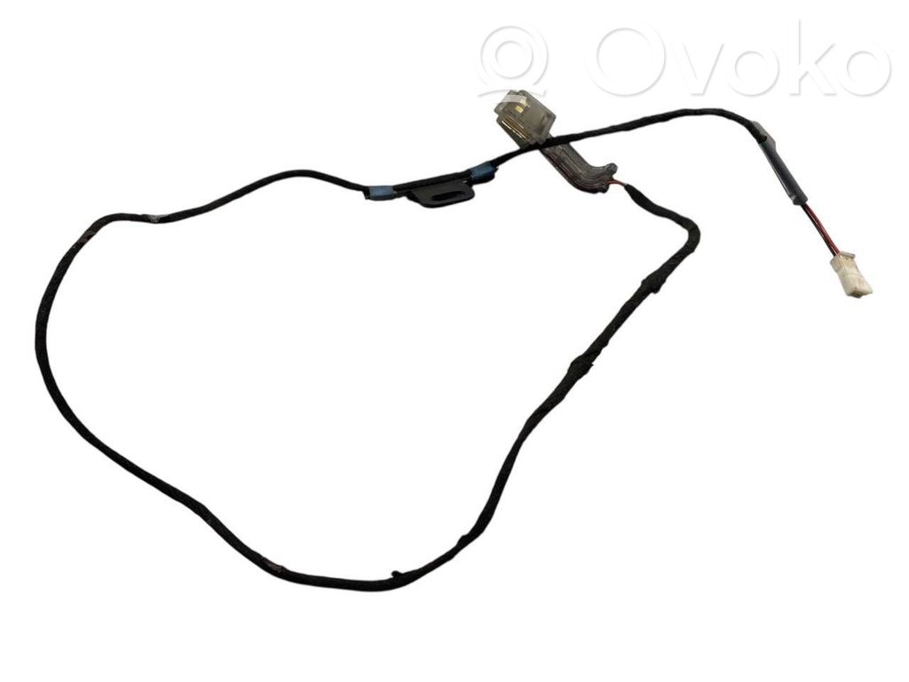 BMW 7 F01 F02 F03 F04 Cableado de puerta trasera 