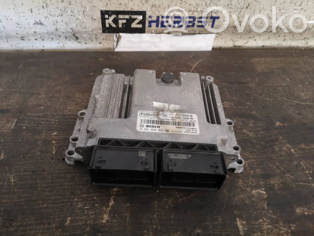 Ford Tourneo Engine control unit/module 
