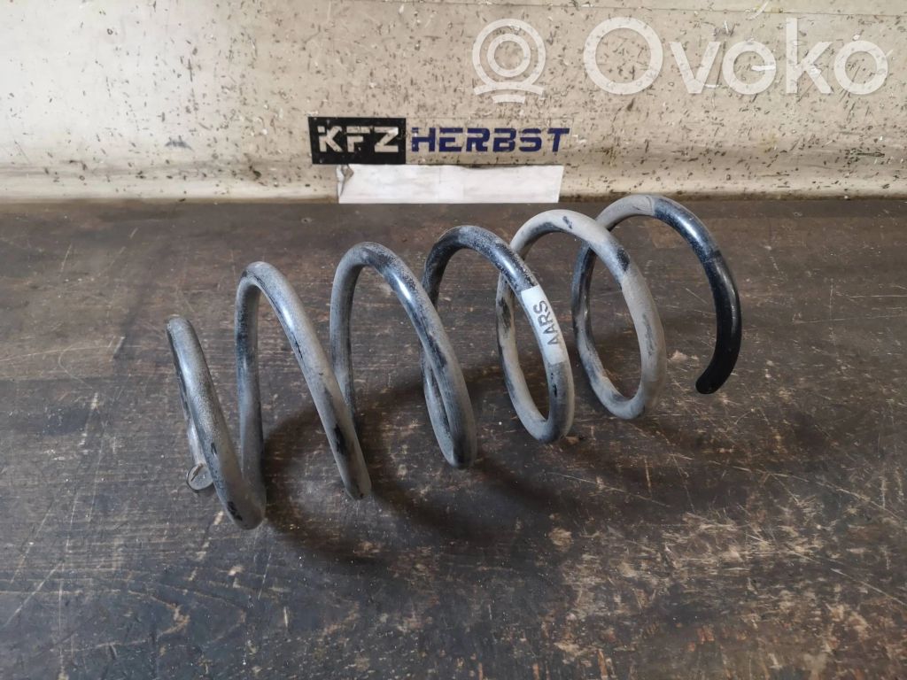 Rear coil spring   AARS,AARS,13433131,13433131,AARS