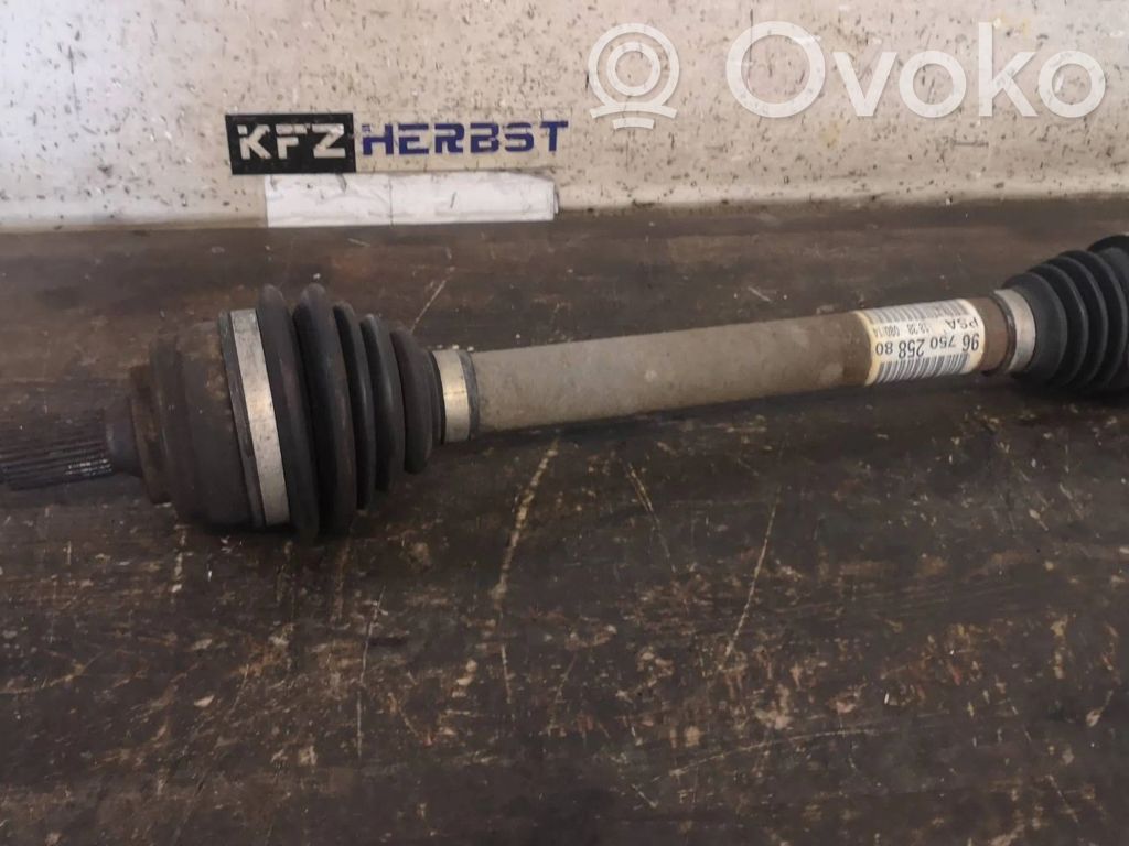 Citroen C4 Grand Picasso Planetare (set)
