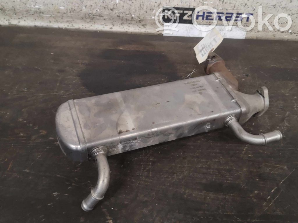 Volkswagen Amarok Răcitor supapă EGR 