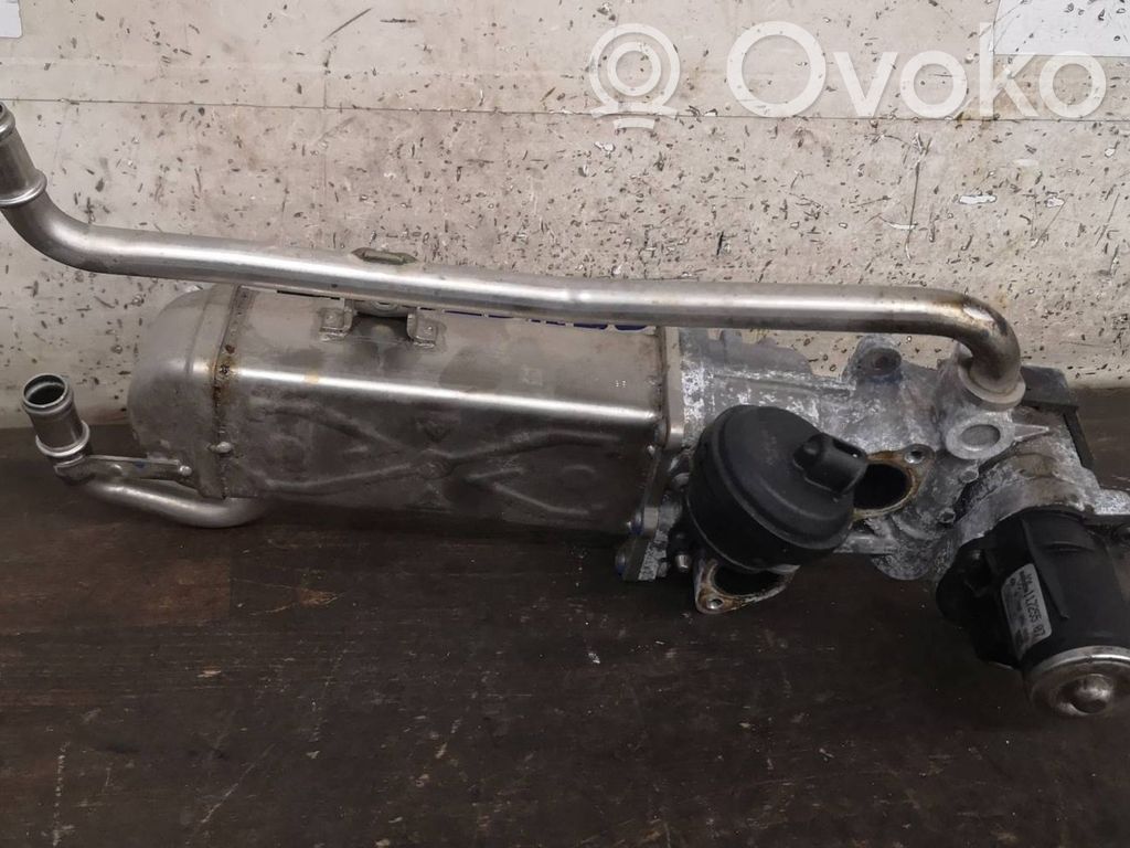 Skoda Rapid (NH) Valvola di raffreddamento EGR 