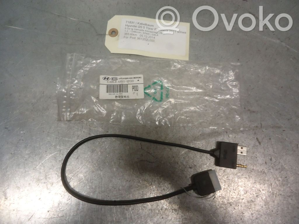 Hyundai i20 (PB PBT) Otros cableados 