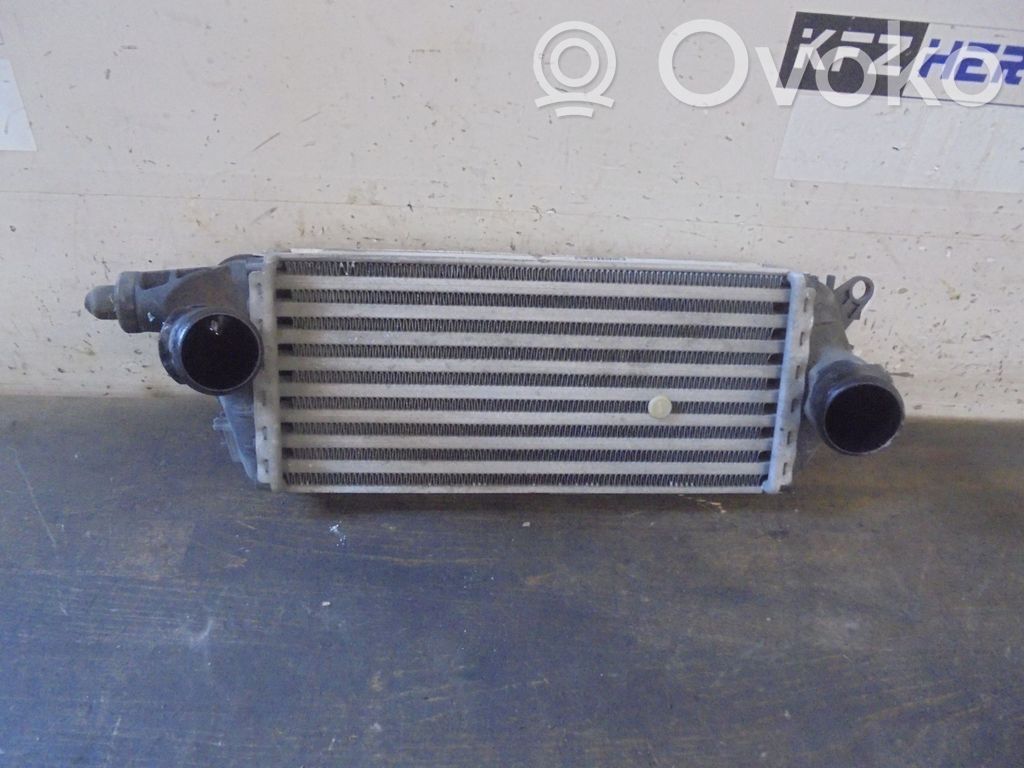 Mini One - Cooper R50 - 53 Interkūlerio radiatorius 