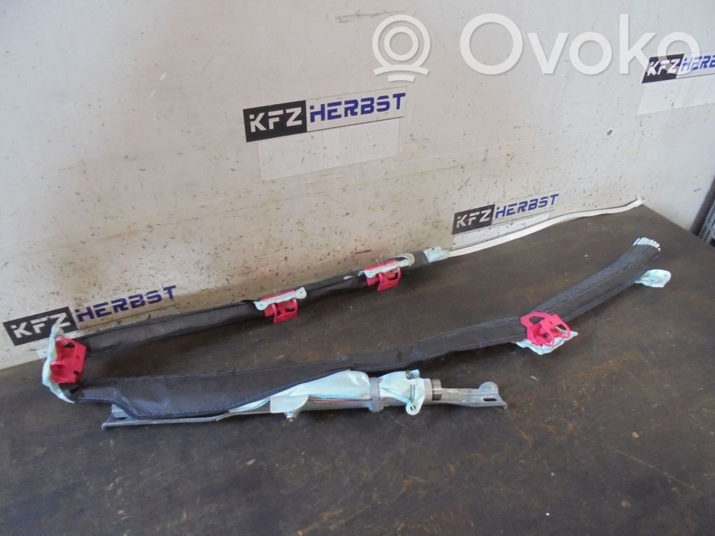 Kurtyna airbag   505084100,505084100,505084100