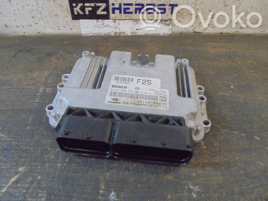 Unitate/modul de control motor   391202A235,391202A235,0281030599,0281030599,391202A235