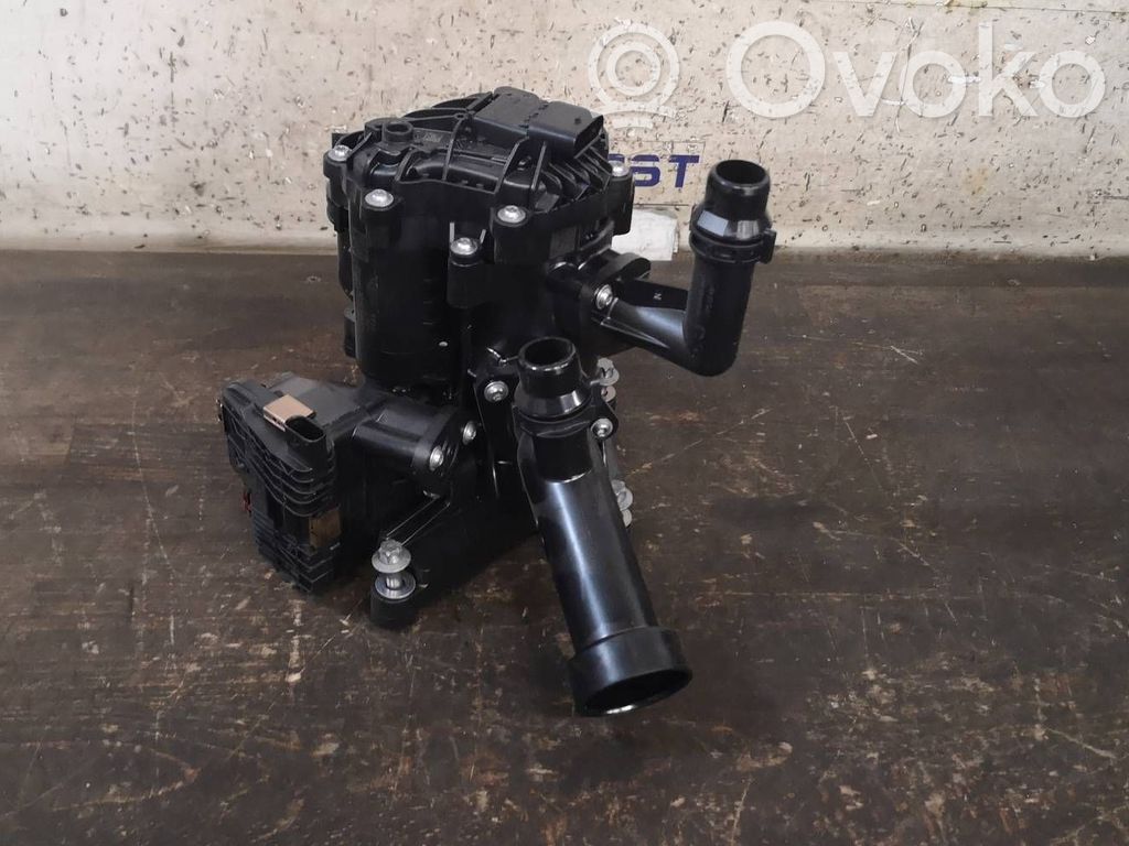 BMW 5 G30 G31 G38 Termostato 