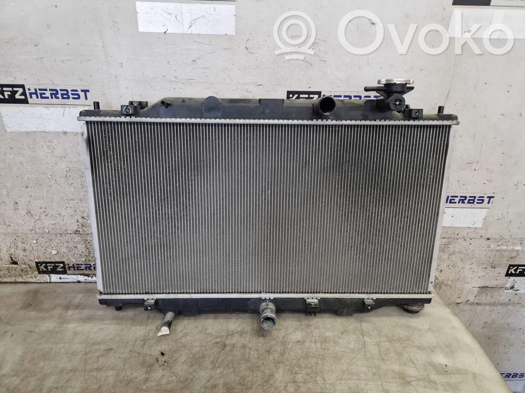 Radiator set   2230001151,2230001151,2230001151