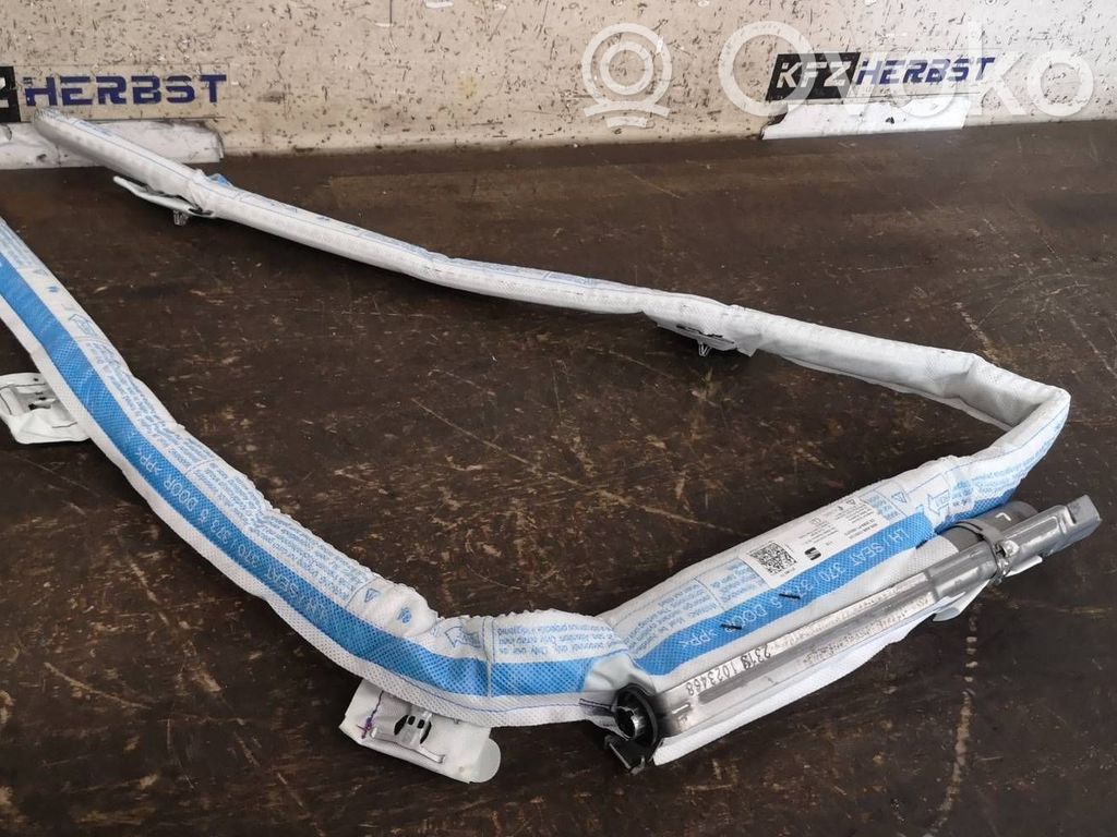 Airbag del techo   5F4880741,5F4880741