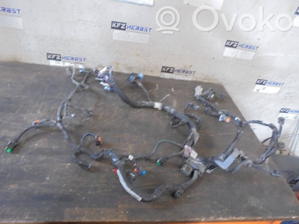 Citroen Berlingo Engine installation wiring loom 