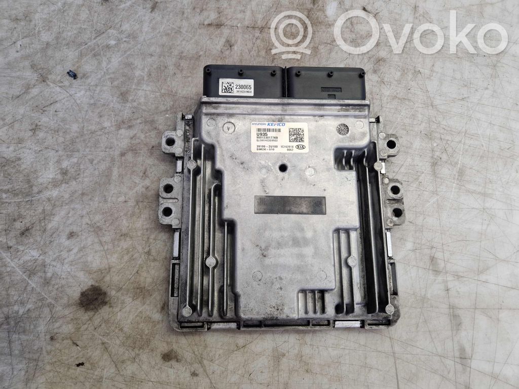 Engine control unit/module   391992U100,9001230177KB,391992U100,9001230177KB