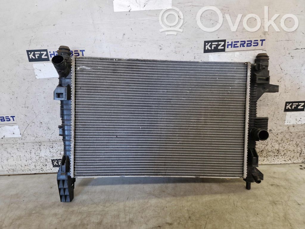 Radiator set   BV618005BD,BV618005BD