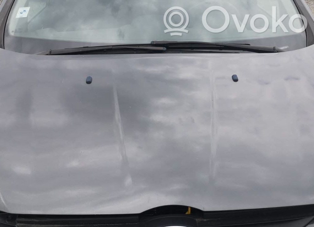 Capó/tapa del motor   2100964,PAV11R16610AC,2100964,PAV11R16610AC