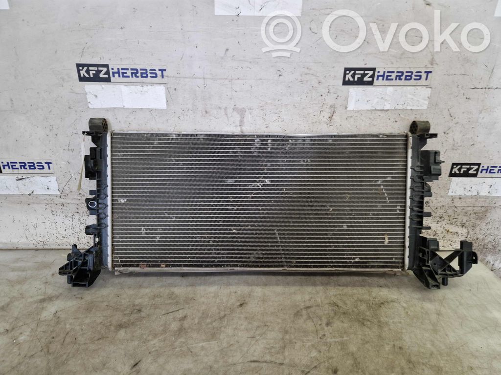 Radiator set   427460812,13453907,13453907,39185891,427460812