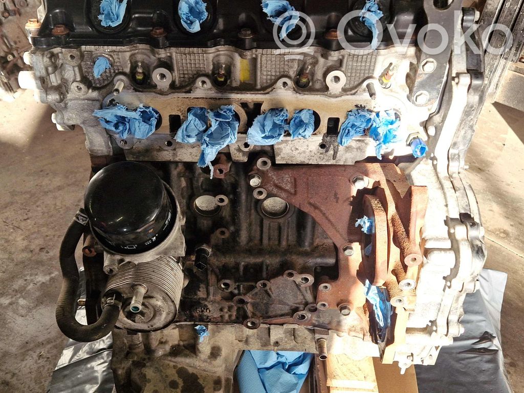 Nissan Navara D40 Motor 