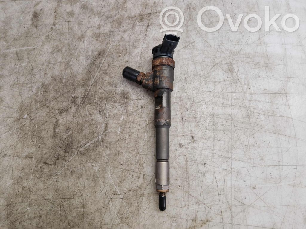 Inyector de combustible   166008399R,166008399R