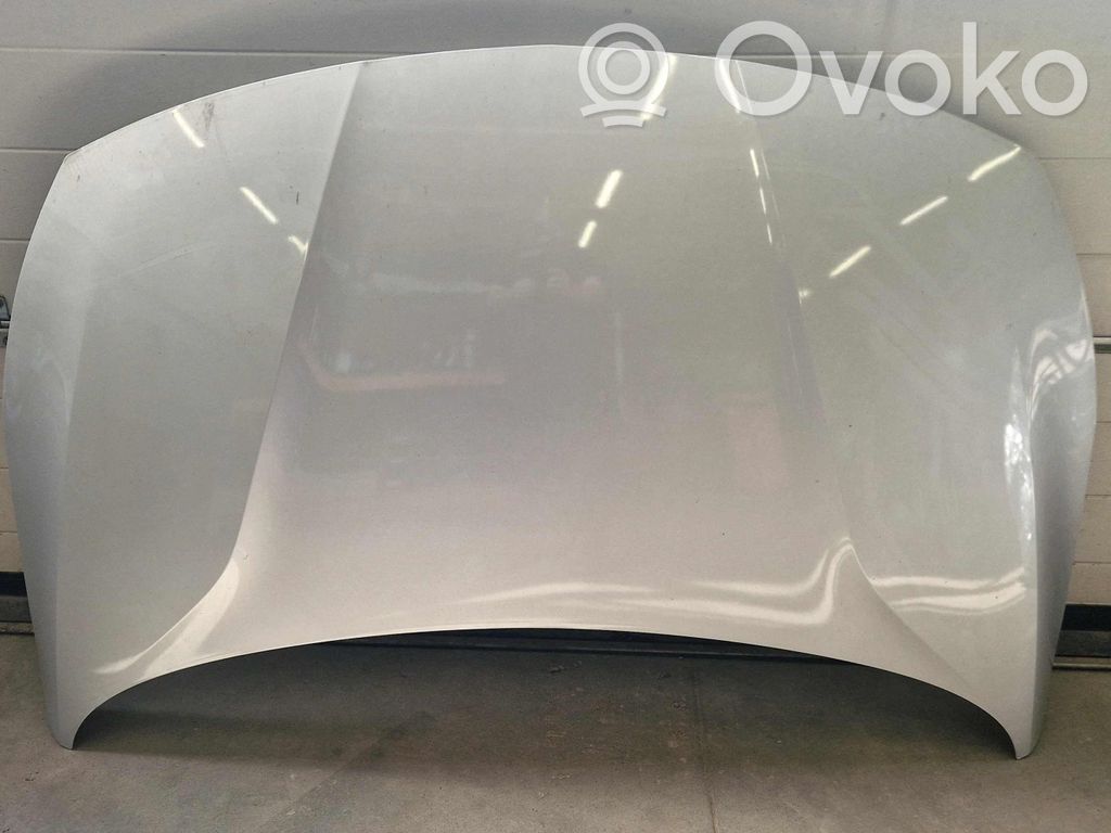 Capó/tapa del motor   39169009,39169009