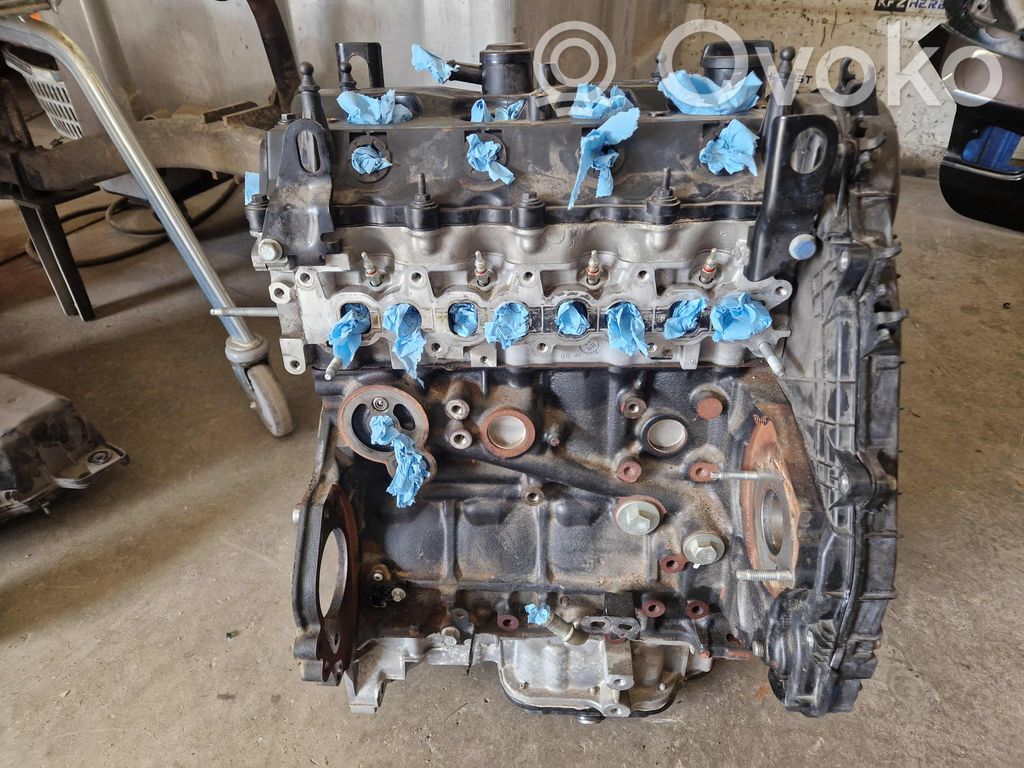 Engine   55594613,146485KM,146485KM,55487190,55594613,93169400