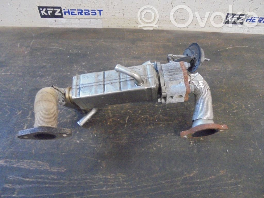 EGR aušintuvas   R2AA20304,R2AA20304