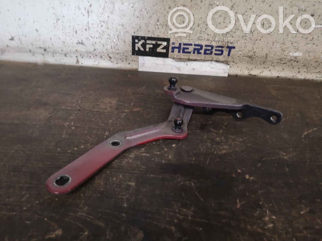 Tesla Model X Rear door hinge set 