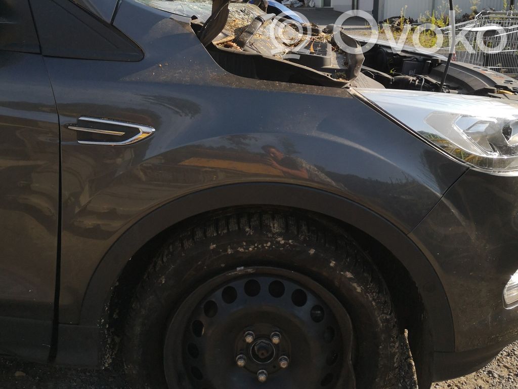 Ford Kuga II Guardabarro 