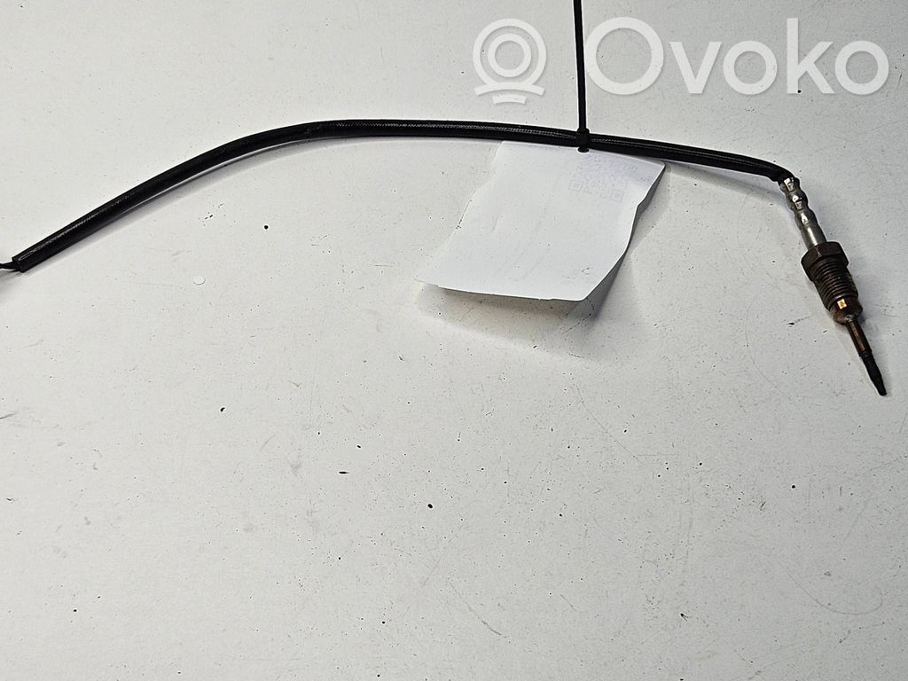 Exhaust gas temperature sensor   7805606,2656001902,012017