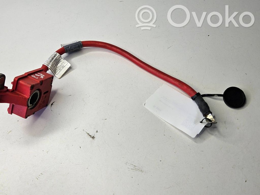 Pluskaapeli (akku)   9217030,5A00UQ3A,EEV74Y