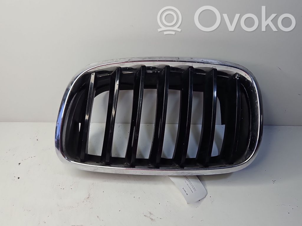 BMW X6 E71 Augšējais režģis 