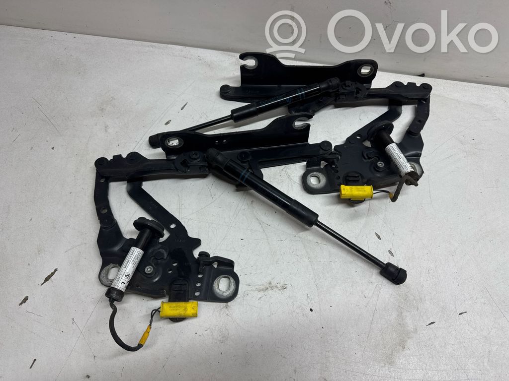 BMW 2 F22 F23 Balamale capotă 