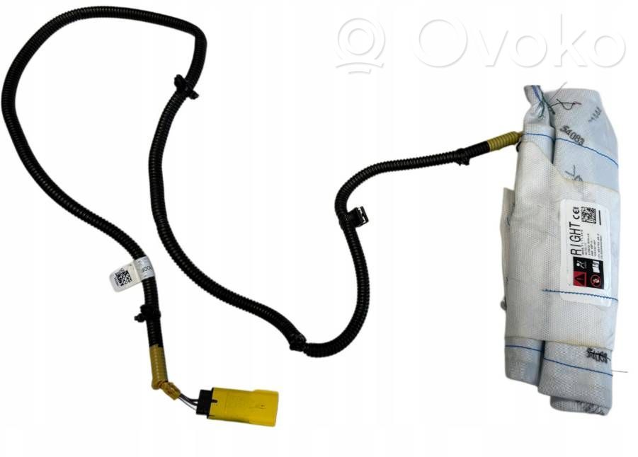 Airbag del asiento   630692100F,103675800E,DNK86KG7BV0,103675800E