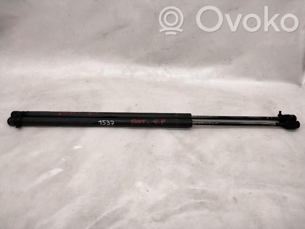 Ford Fiesta Tailgate/trunk strut/damper 
