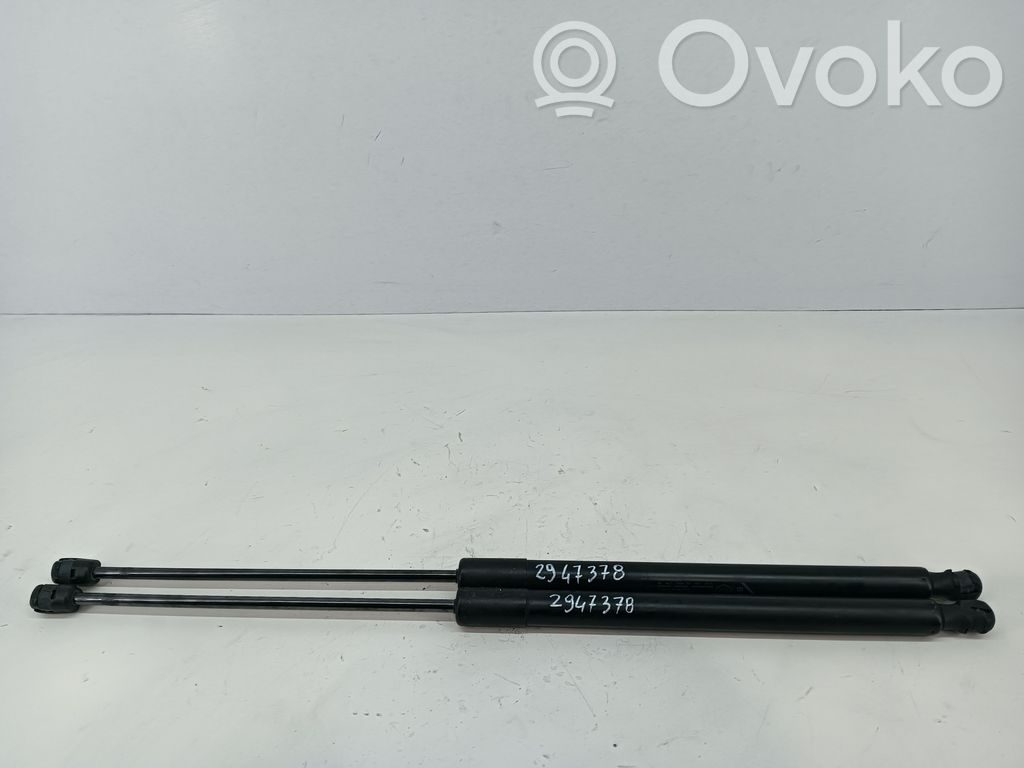 Fiat Tipo Amortizatorius galinio dangčio 