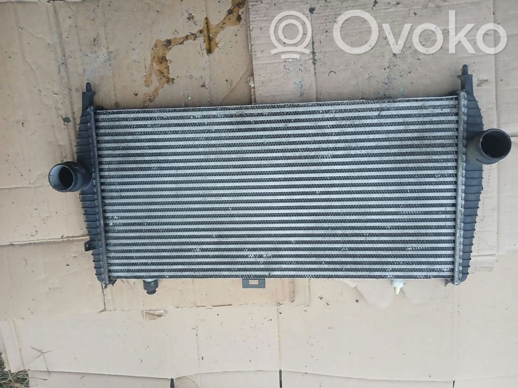 Peugeot 607 Intercooler radiator 