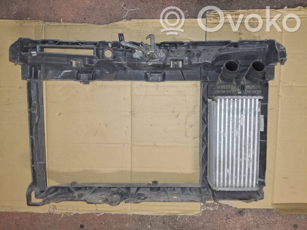 Citroen DS3 Radiatoru panelis 