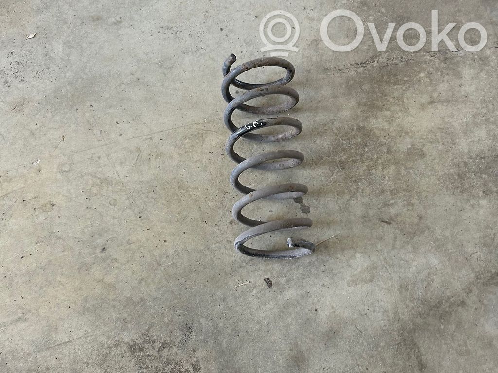 Rear coil spring