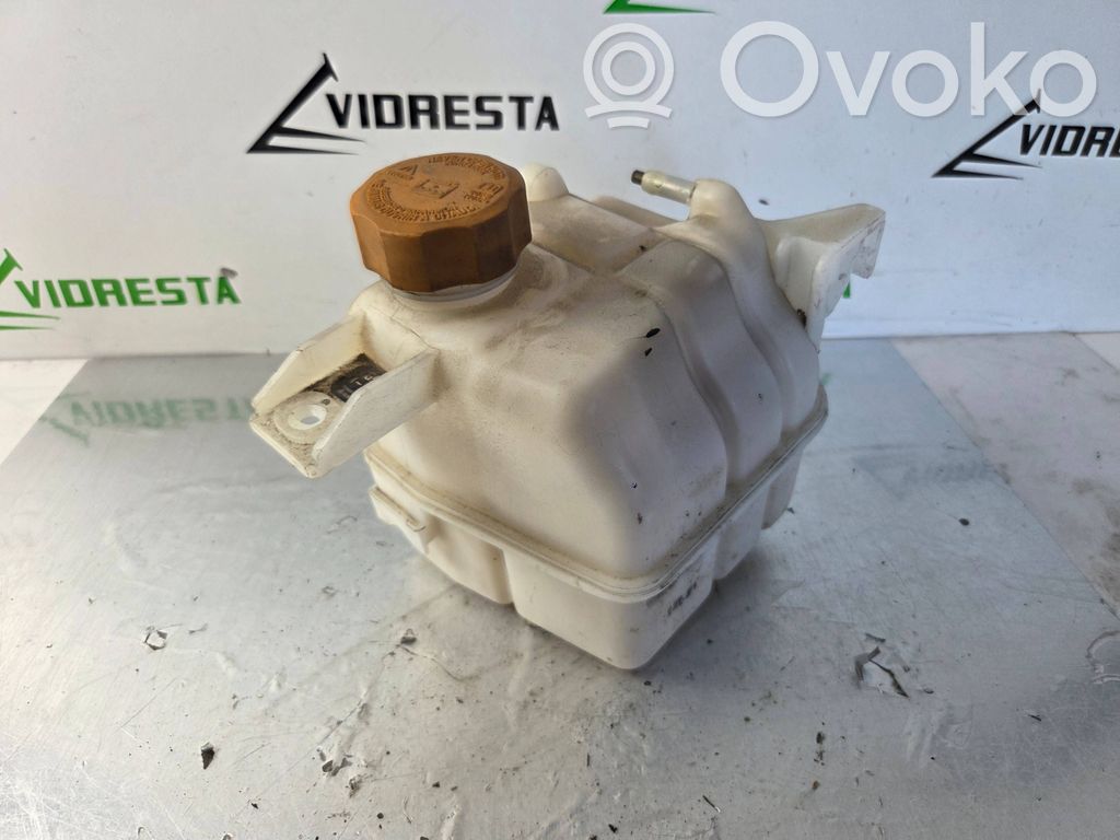Opel Antara Aušinimo skysčio išsiplėtimo bakelis 