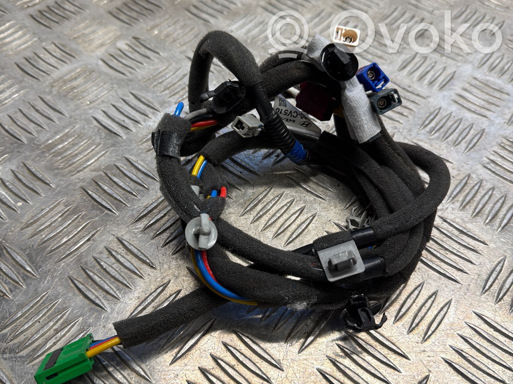 Otros cableados   96220CV510,220428