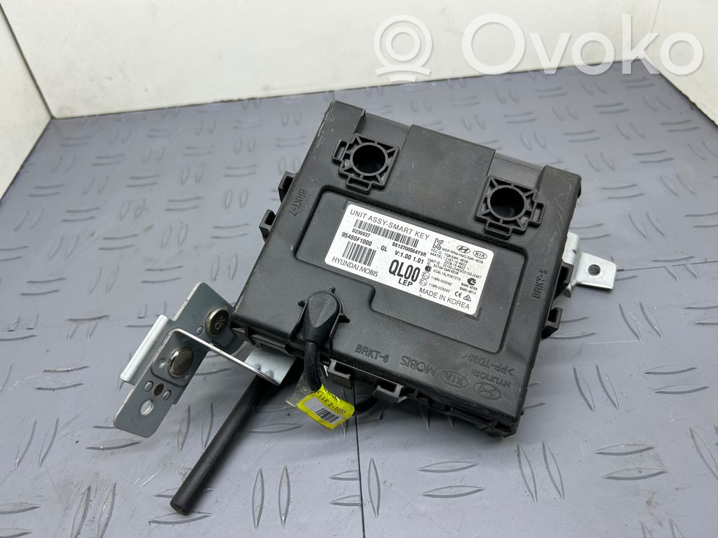 Inne komputery / moduły / sterowniki   S239937,95480F1000,S613700564Y9R