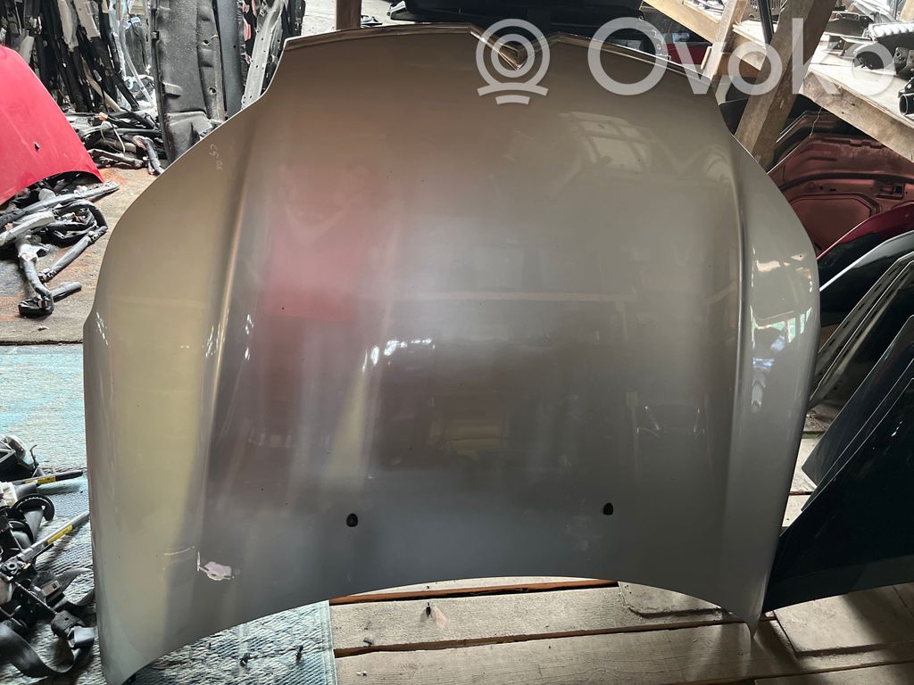 Engine bonnet/hood