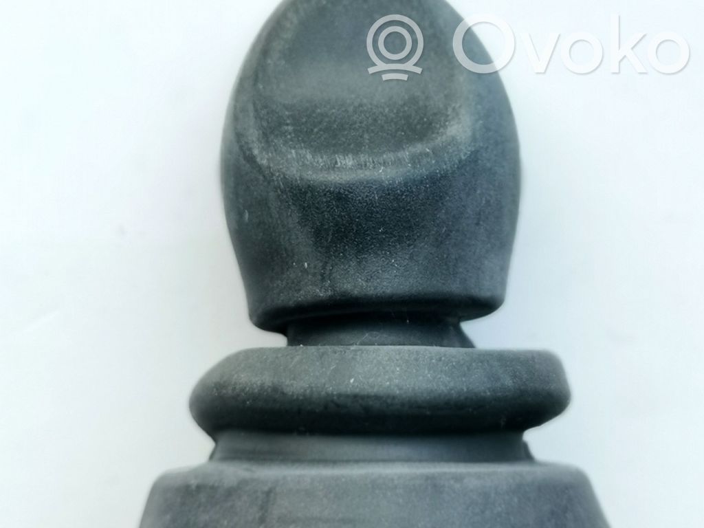 Ford Focus Kita salono detalė 