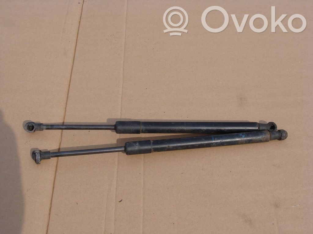Tailgate/trunk strut/damper   7129194