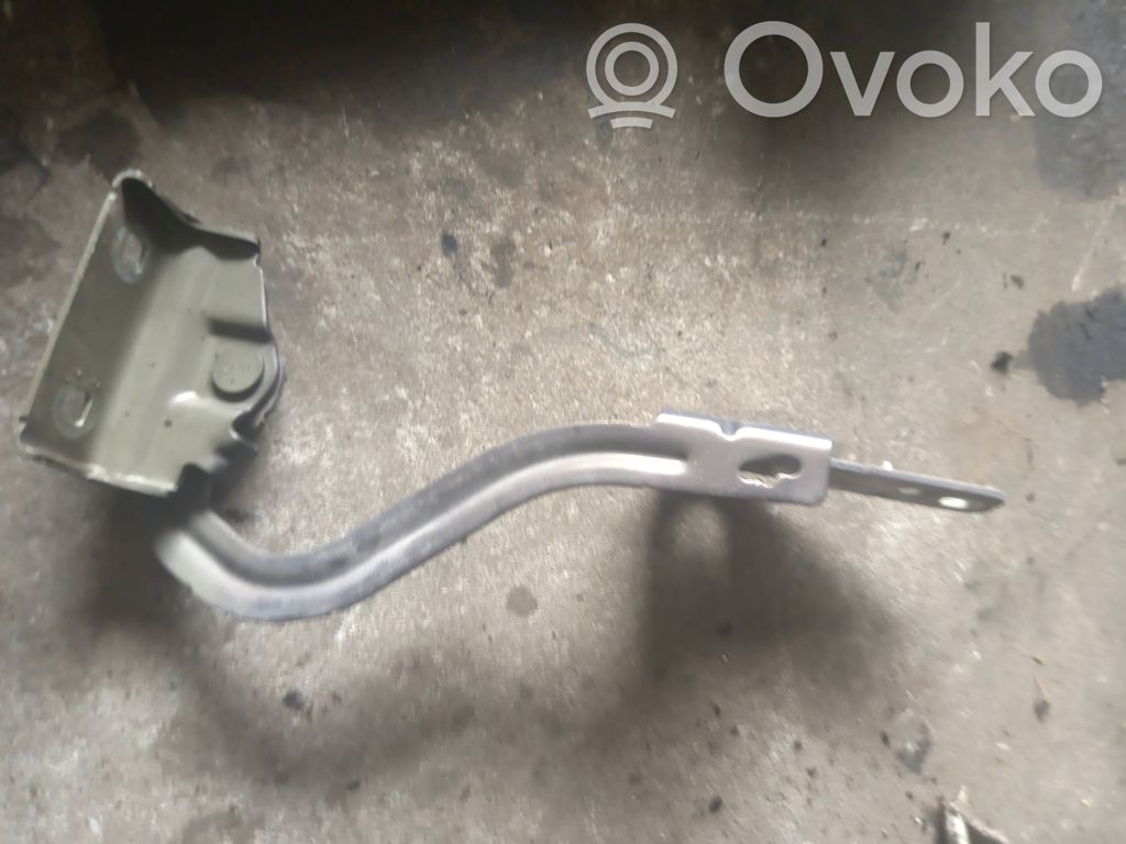 Renault Modus Dzinēja pārsega eņģe (-es) 