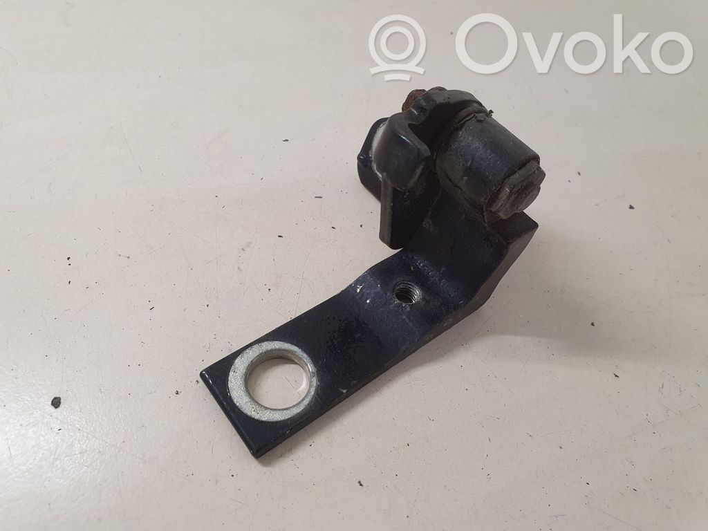 Rear door lower hinge